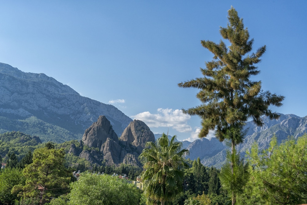 Berke Ranch & Nature - Özel Sınıf - Image 33