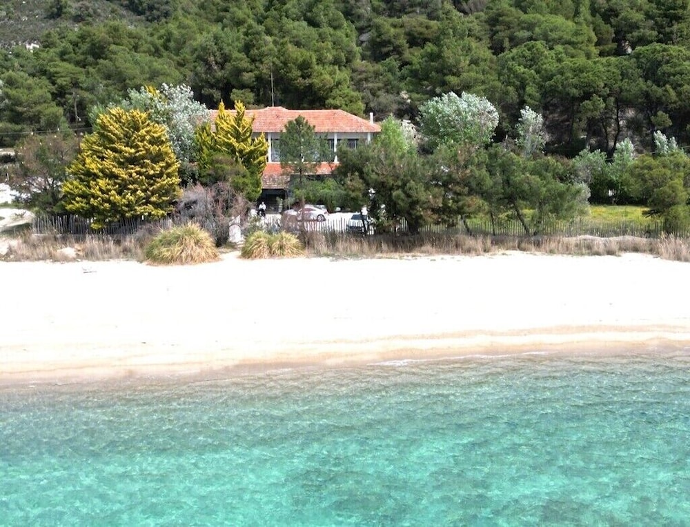 Photo 41
