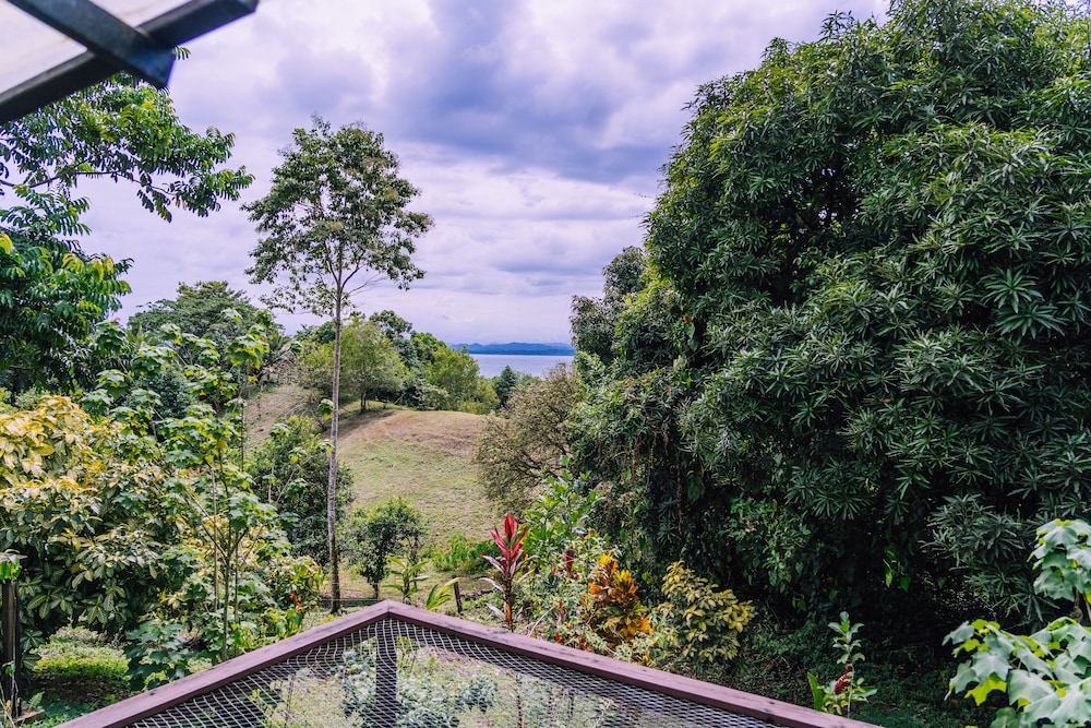 Bambuda Lodge - Hostel