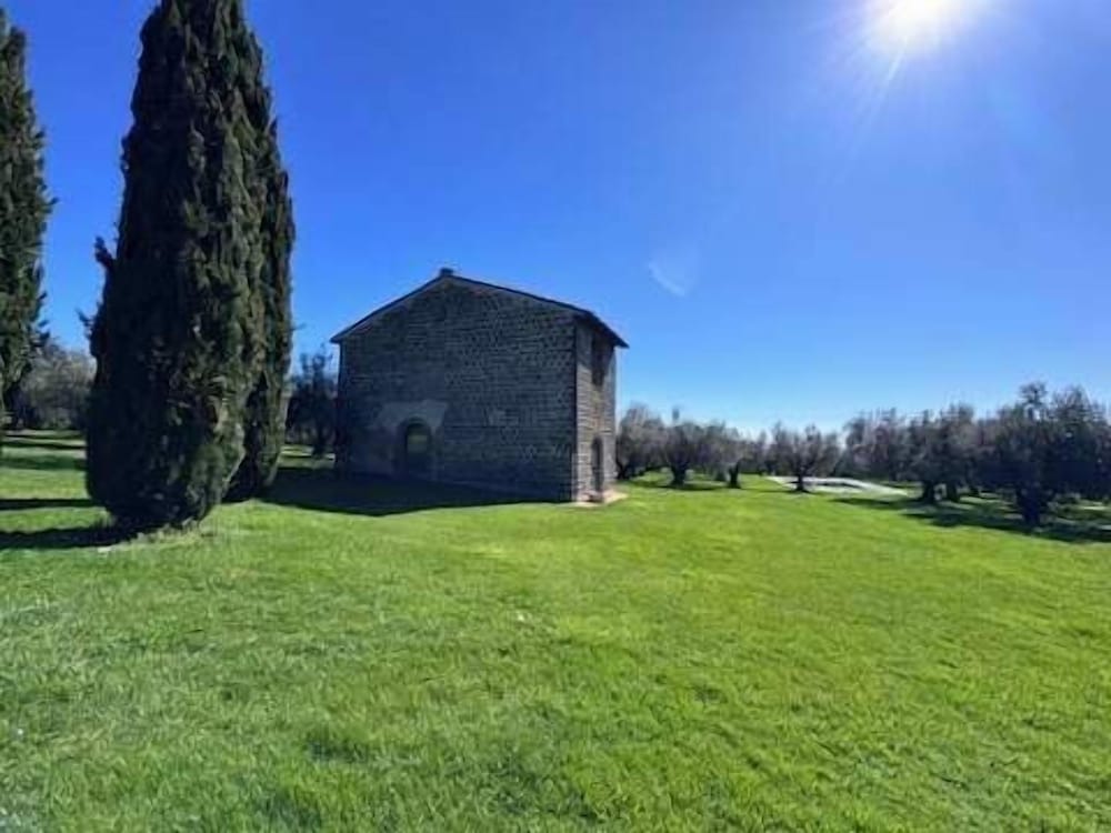 New Estate of Joy a Magnificent Historic Villa Near Rome on Glorious Ground Pool and Olives Galore