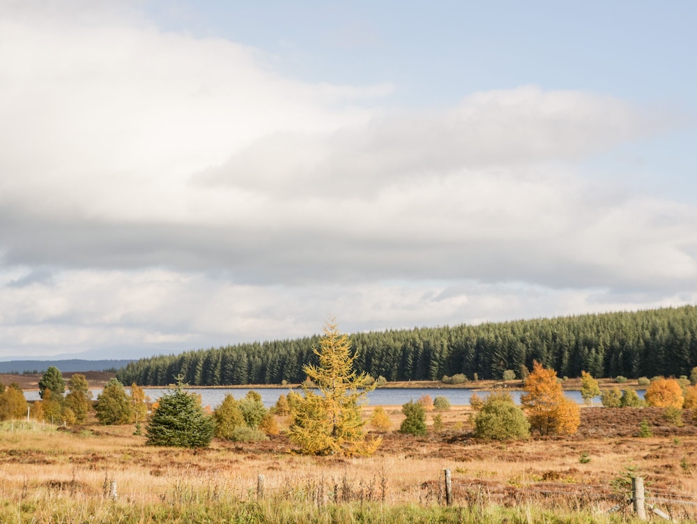 Ptarmigan Lodge