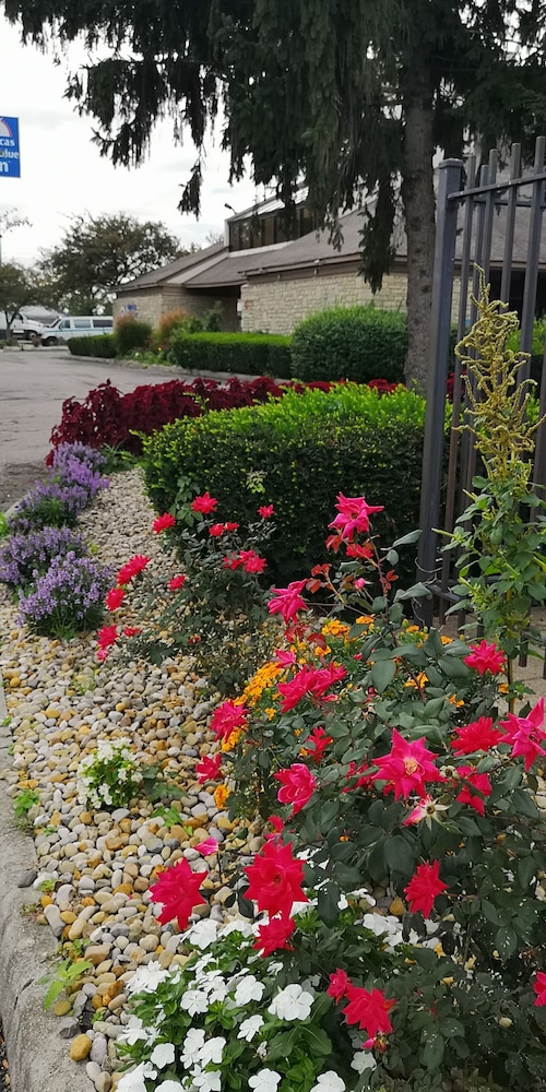Photo 18
