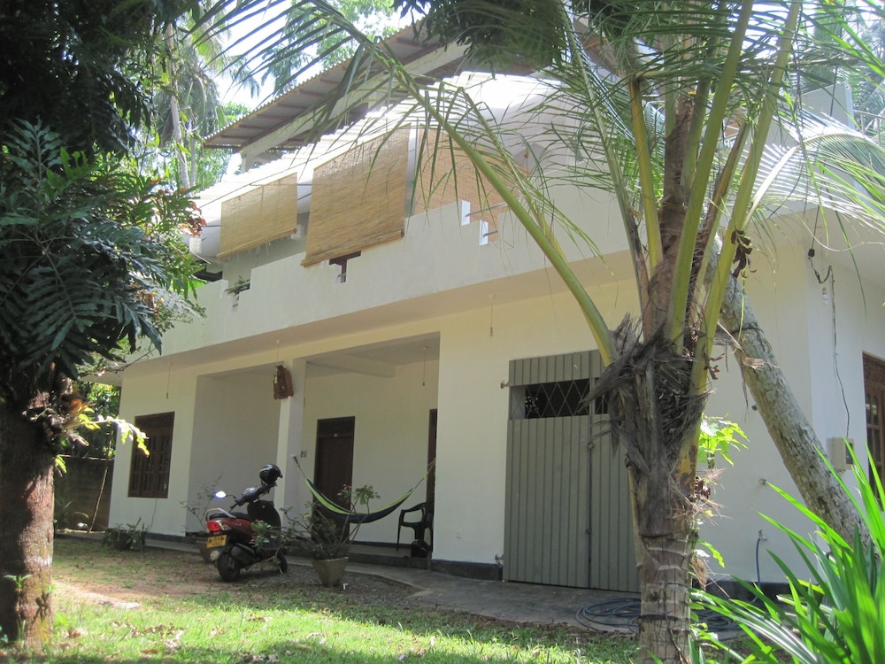 Jungleside House
