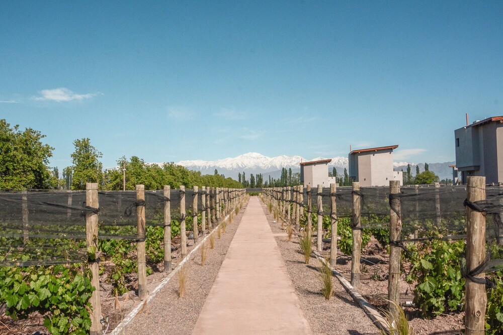 Agrelo Vines Lodge - Image 5