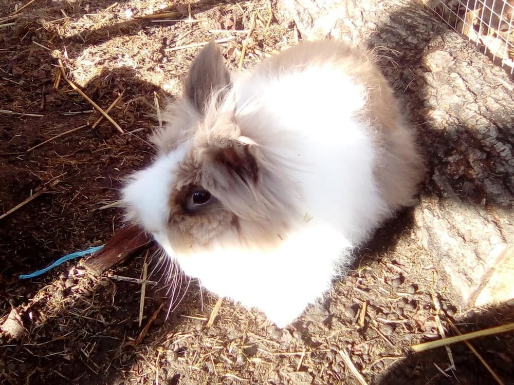 Photo 32