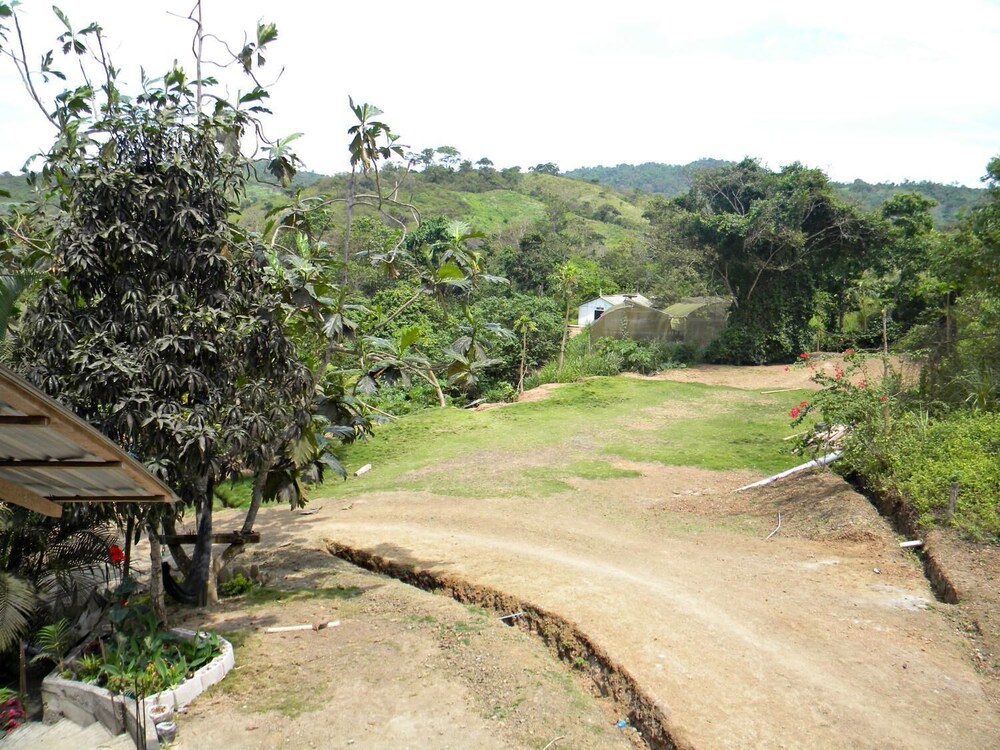 Photo 26