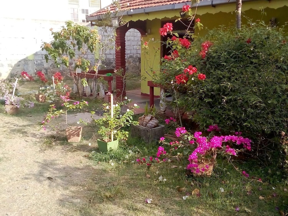 Saja Homestay view 4