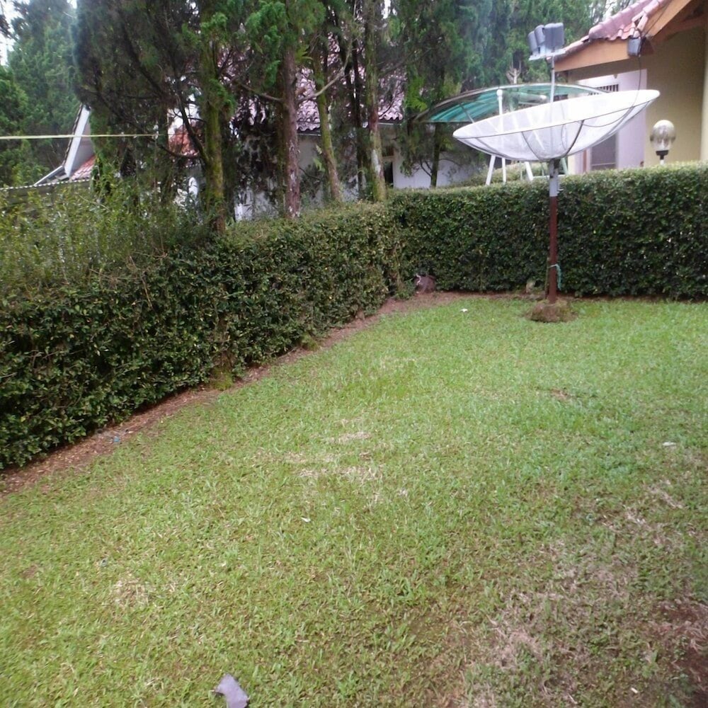 Photo 25