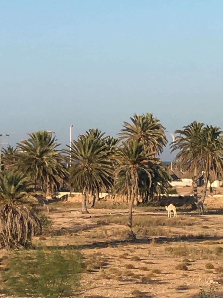 Aghir Vacations - Tamalou Djerba - Property Image 23