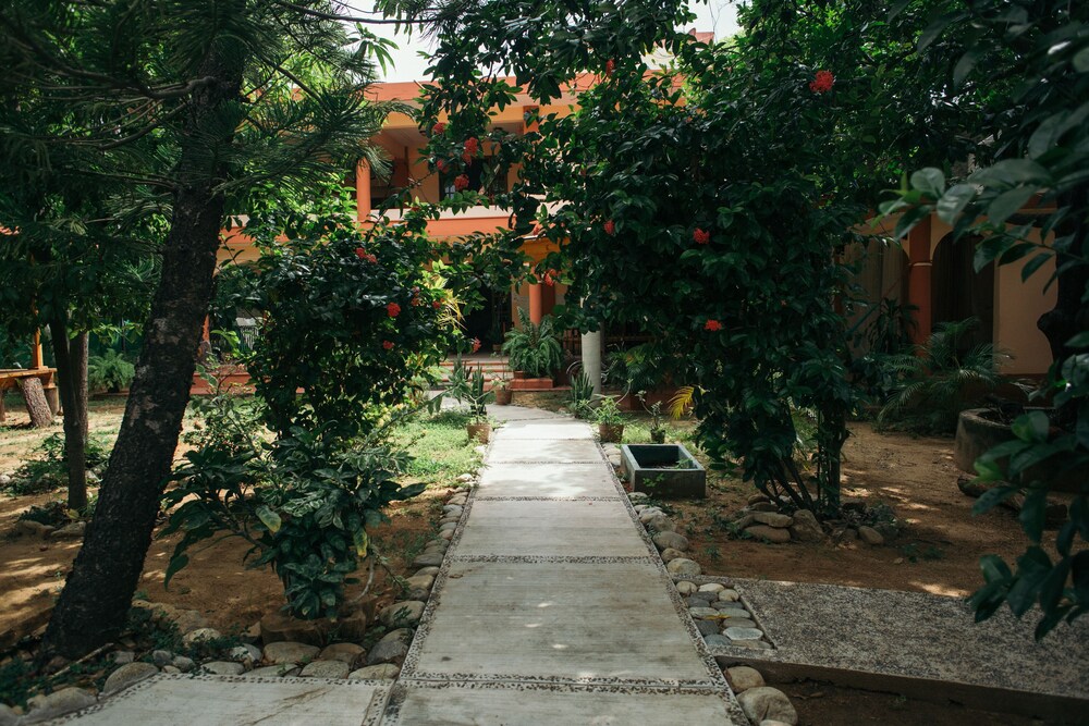 Photo 15
