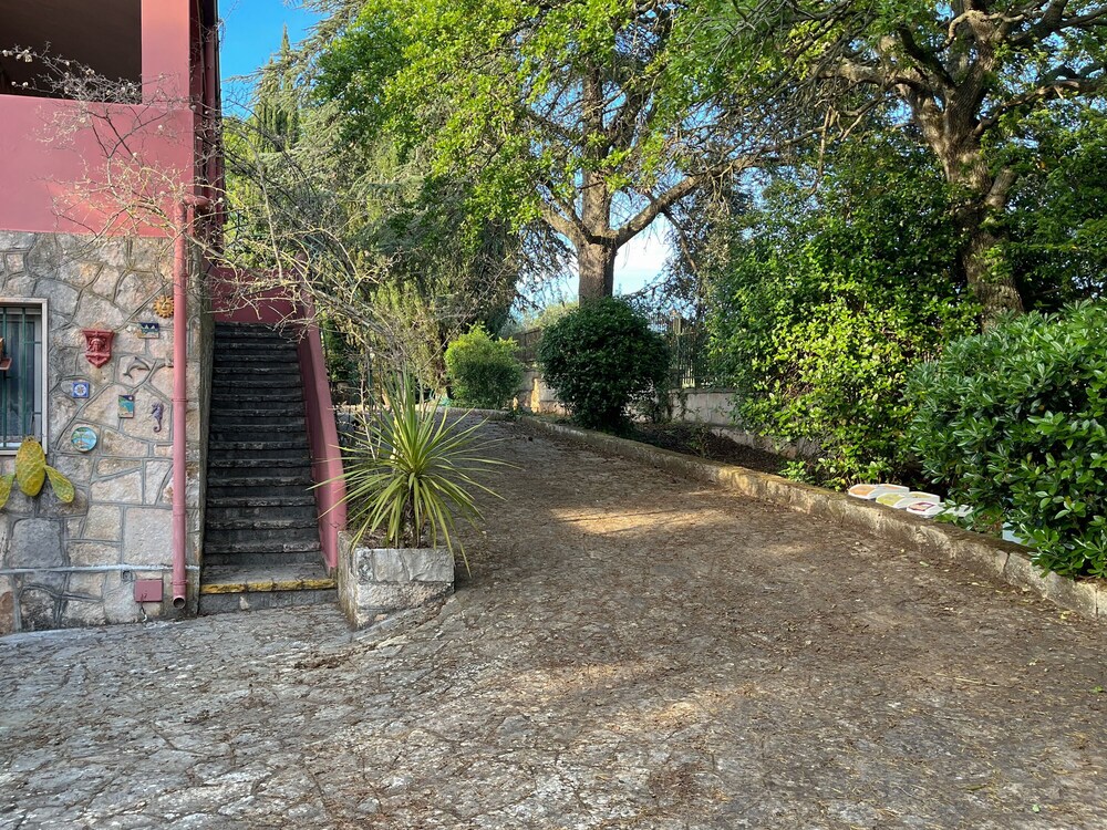 Photo 43