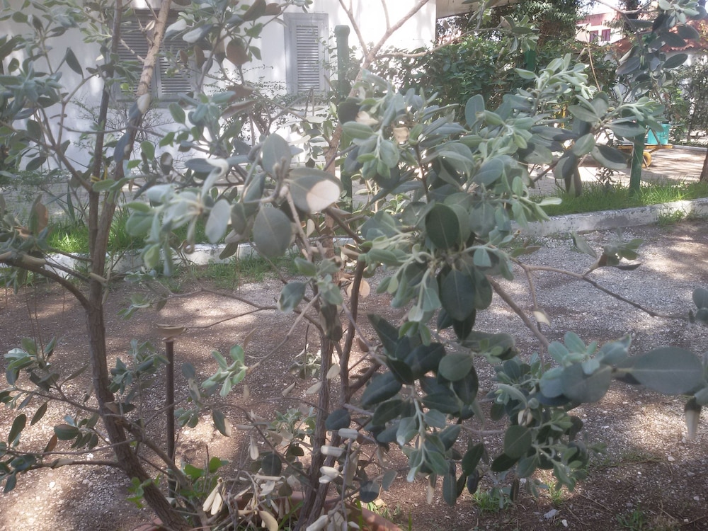 Parco delle Viole
