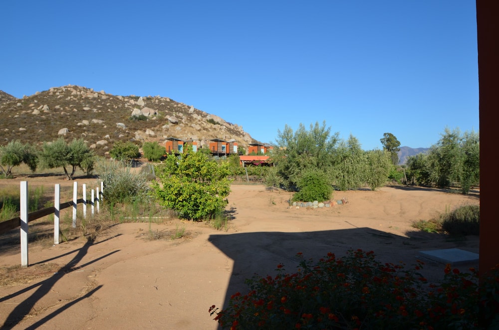 Photo 21
