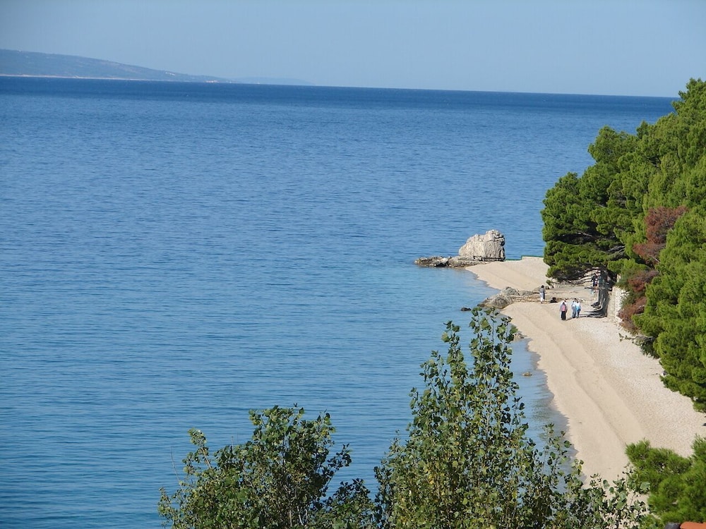 Eddie - 80m From the sea - A2