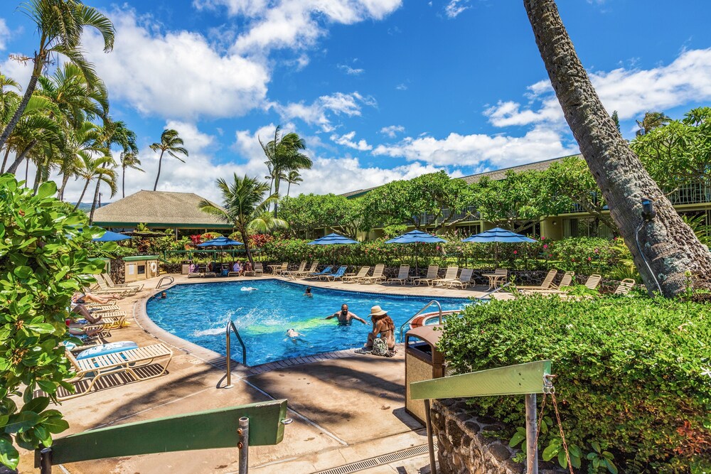 Napili Shores G258 Studio Condo Condo