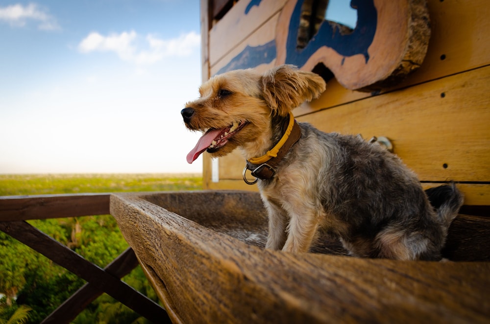 Hotelito Azul - Property Image 145