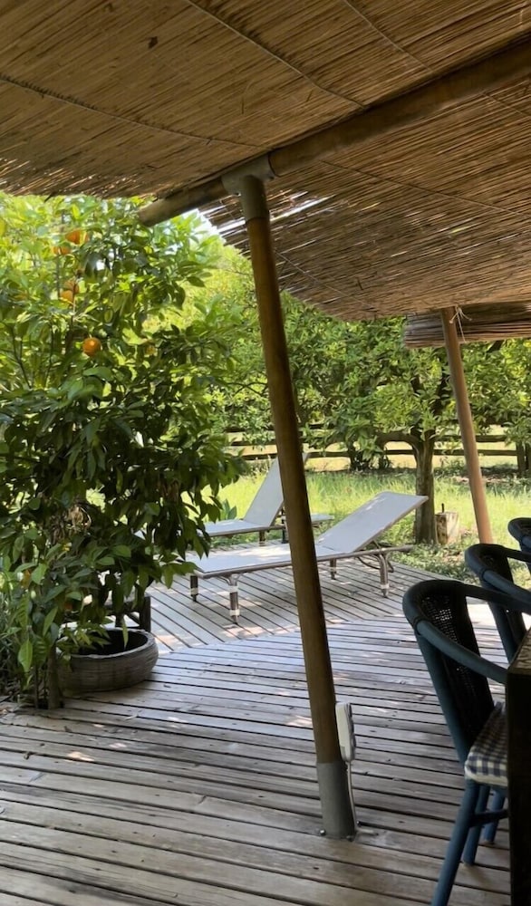 Campo Portakal Eco Glamping Cirali