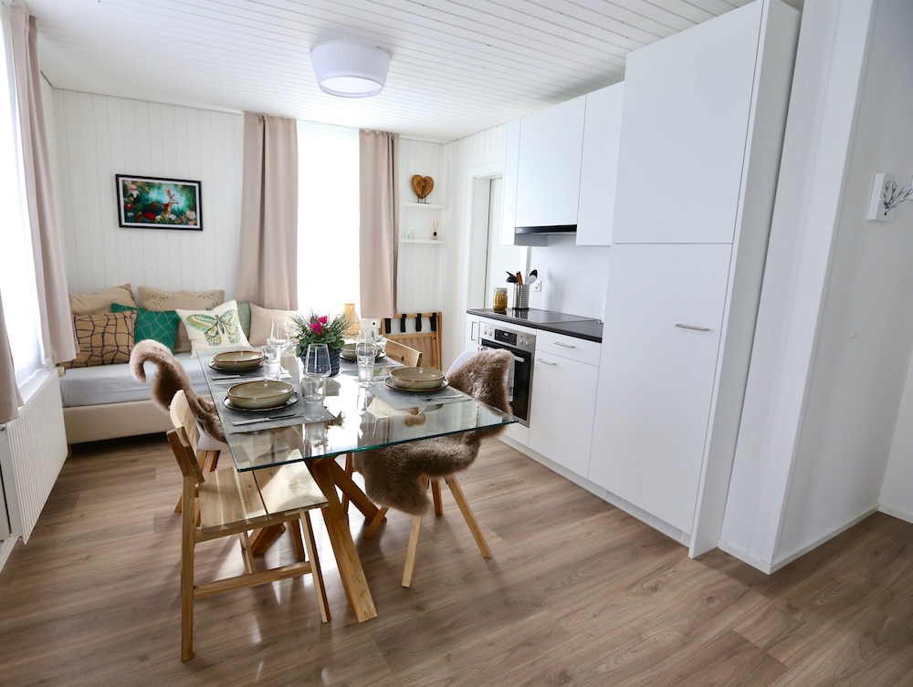 ALP APARTMENTS with self check-in