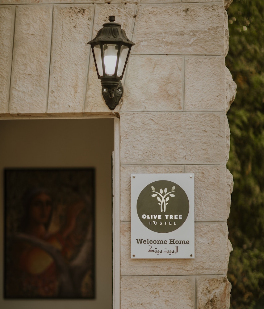 OliveTreeHostel, photo 50