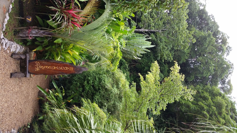 Hotel Khao Sok & Spa