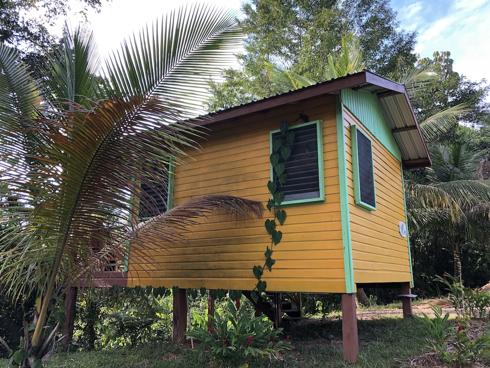 T.R.E.E.S Research Center and Eco Lodge view 5