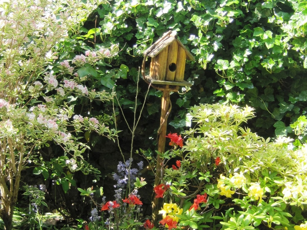 Photo 29