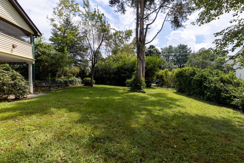 Cheerful 3 Bedroom Home Walk to UVA Stadium, photo 31