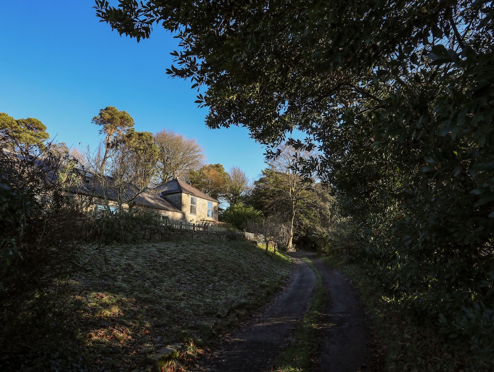 Plas Elyn