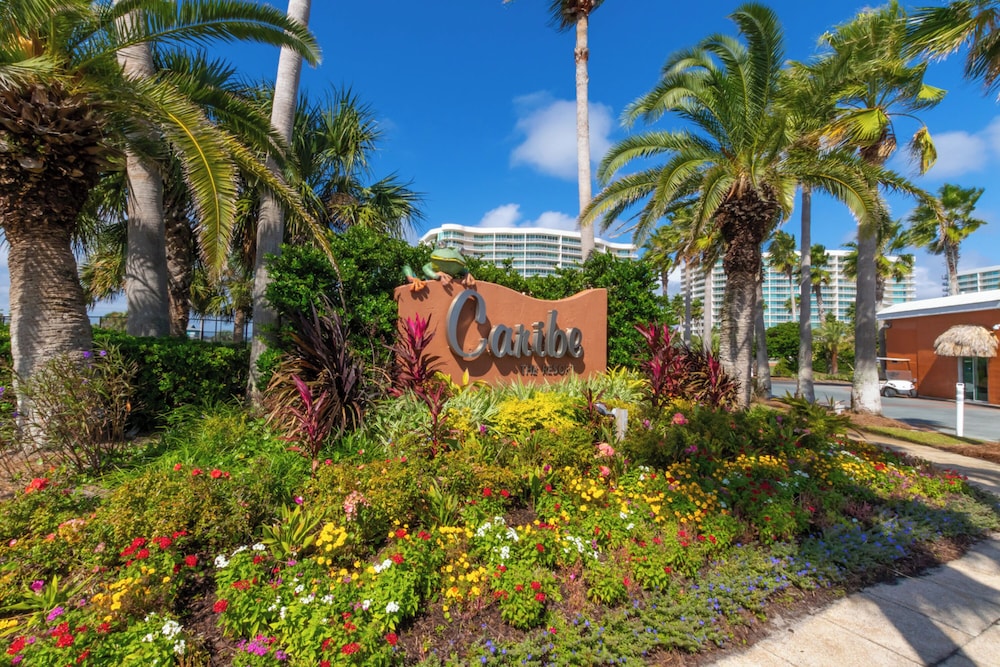 Caribe 409D