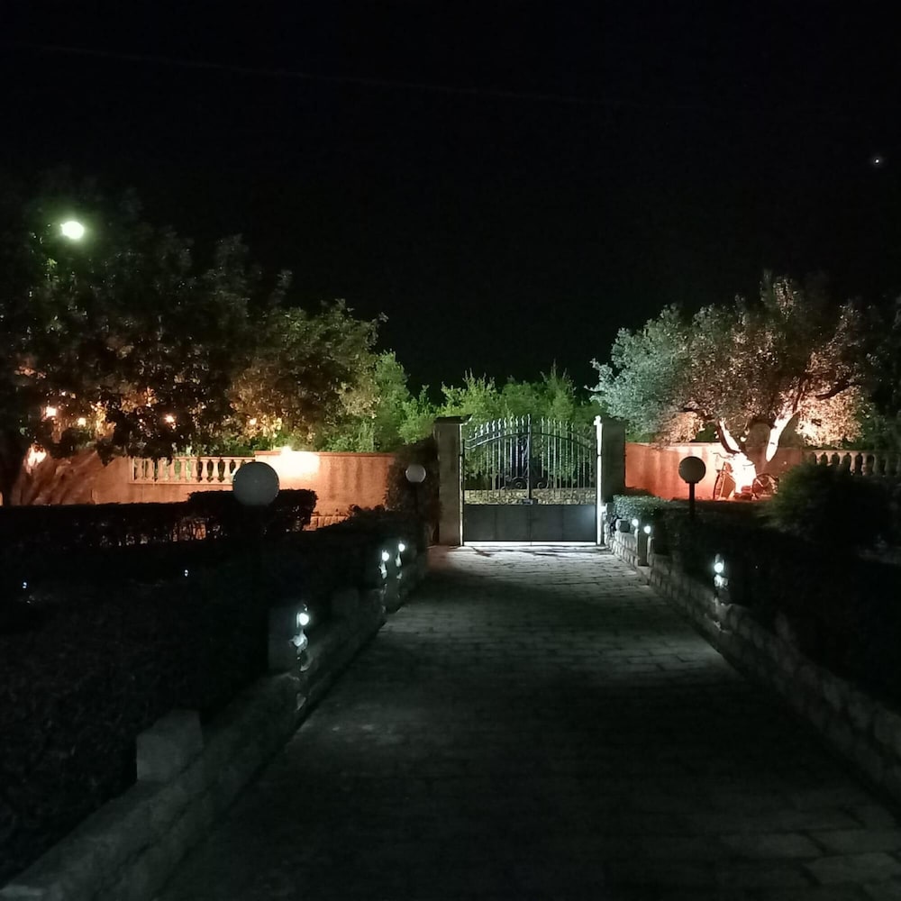 Photo 36