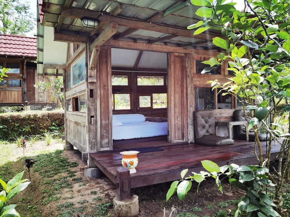 Homestay Ijen Lemonhouse