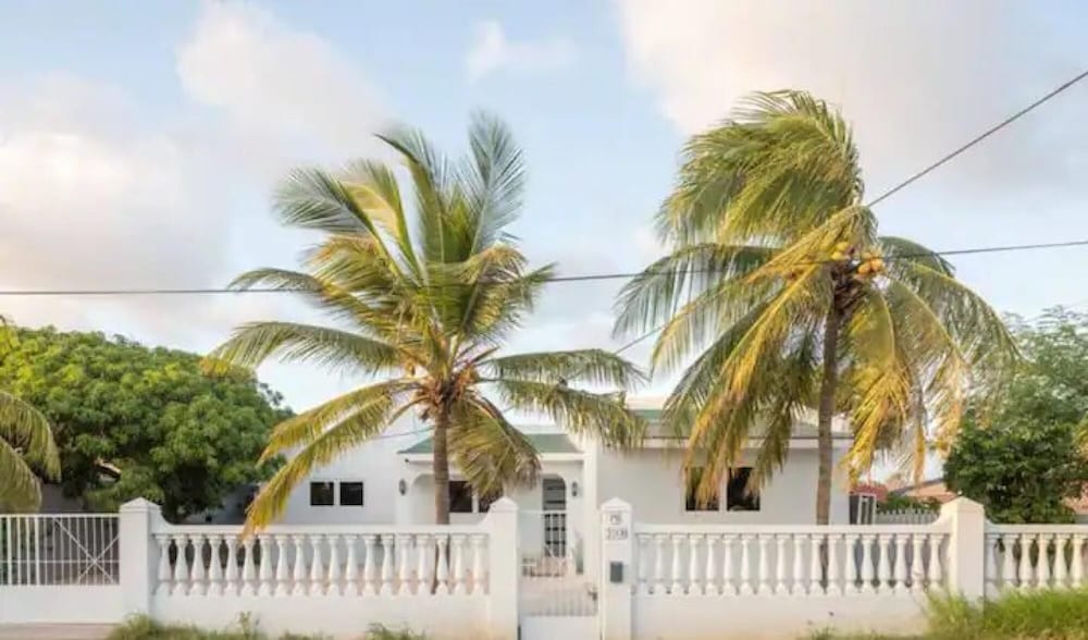 NEW Palm Beach 100h
