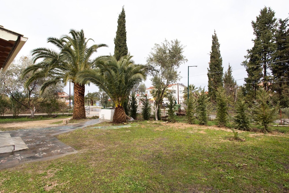 Photo 25