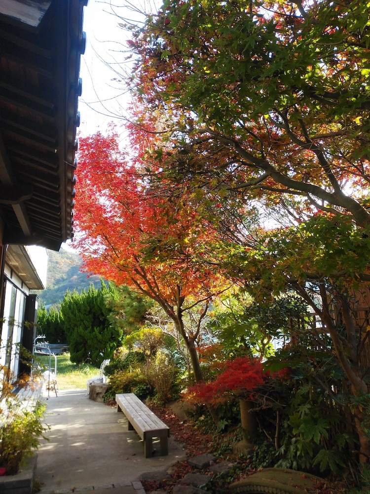 Photo 26