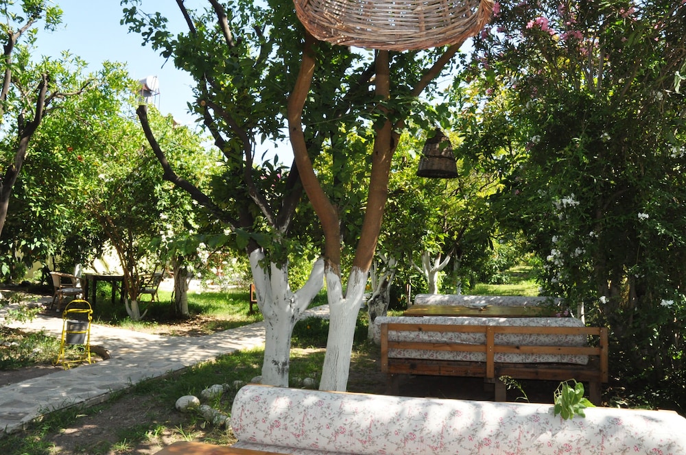 Photo 12
