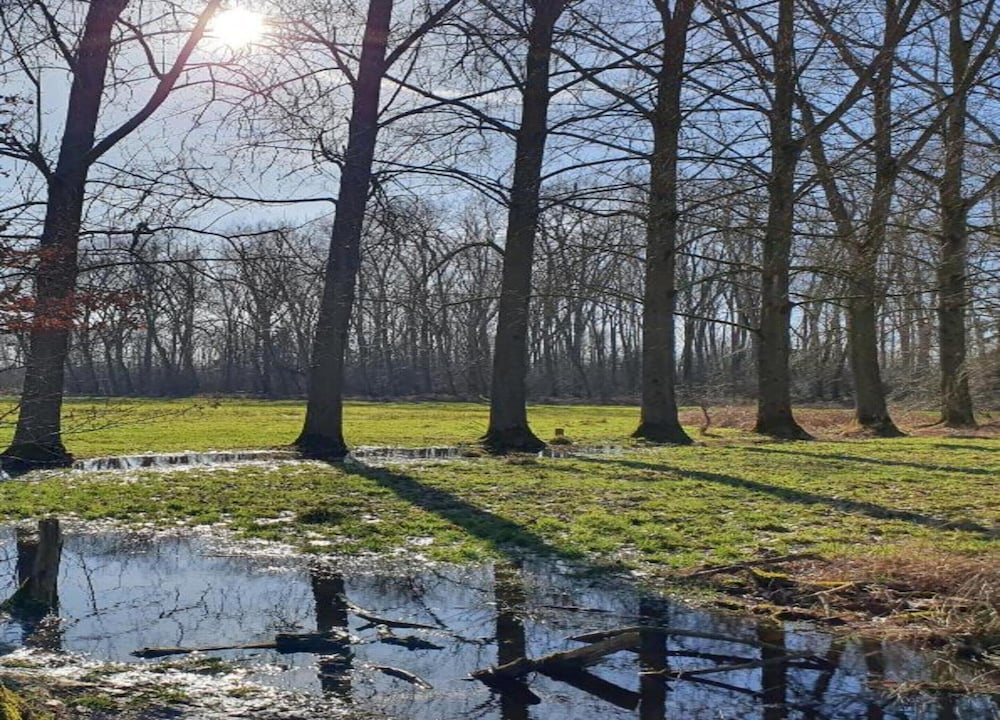 Apartment in Sint-oedenrode Near Henkenshage