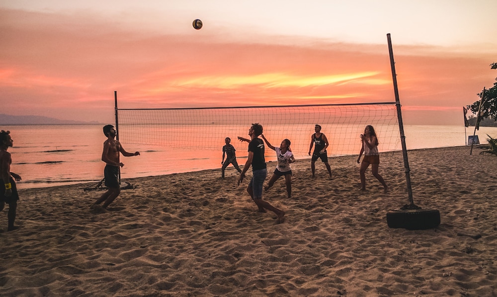 Dancing Elephant Beach Club - Hostel