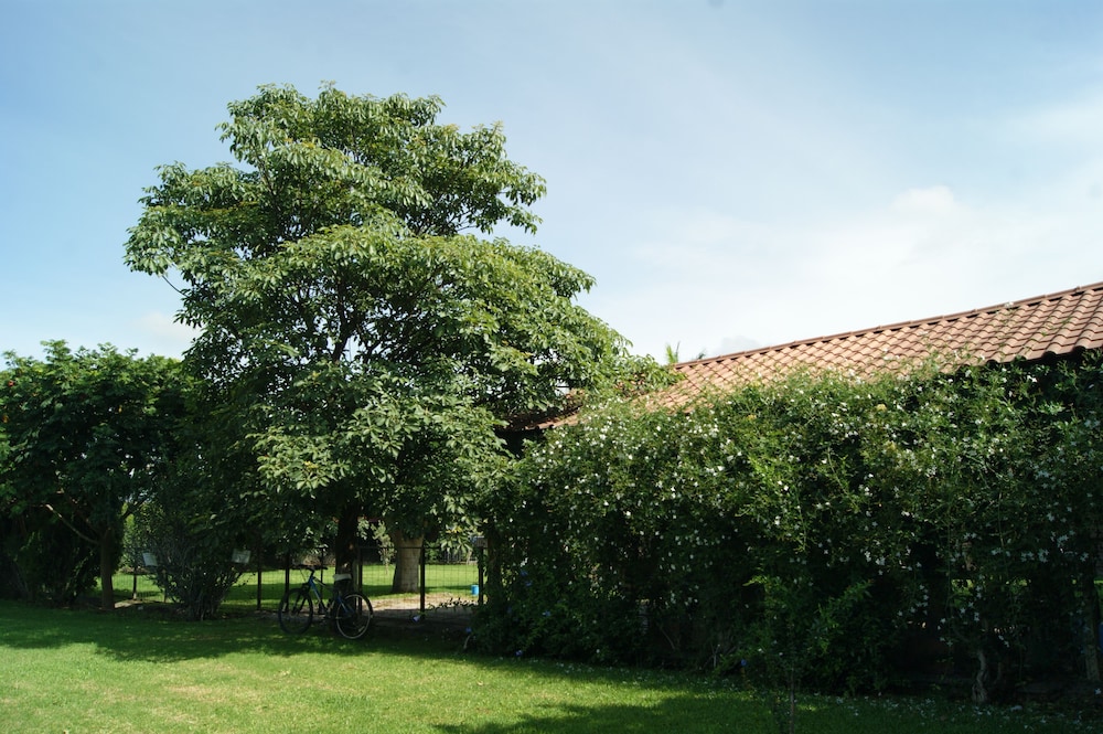 Photo 45