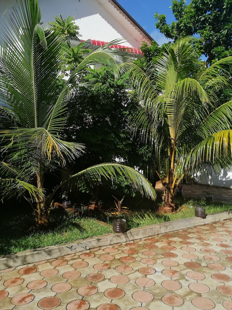 Photo 43