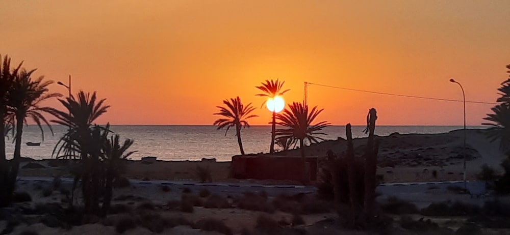 Dar chick yahia