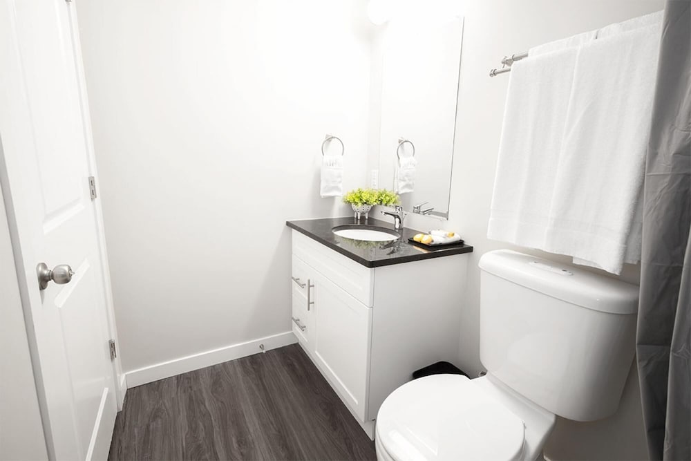 Cozy One Bedroom in a Historic Home on the Assiniboine River Lower Level Unit With Den in Wolseley Parking Included view 3