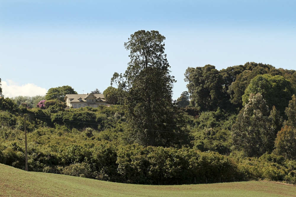 Hotel Playa Maqui Lodge - Image 1