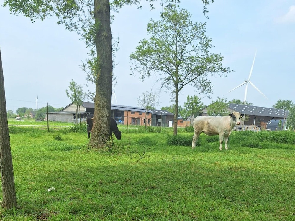 Beautiful Group Accommodation Near our own Food Forest