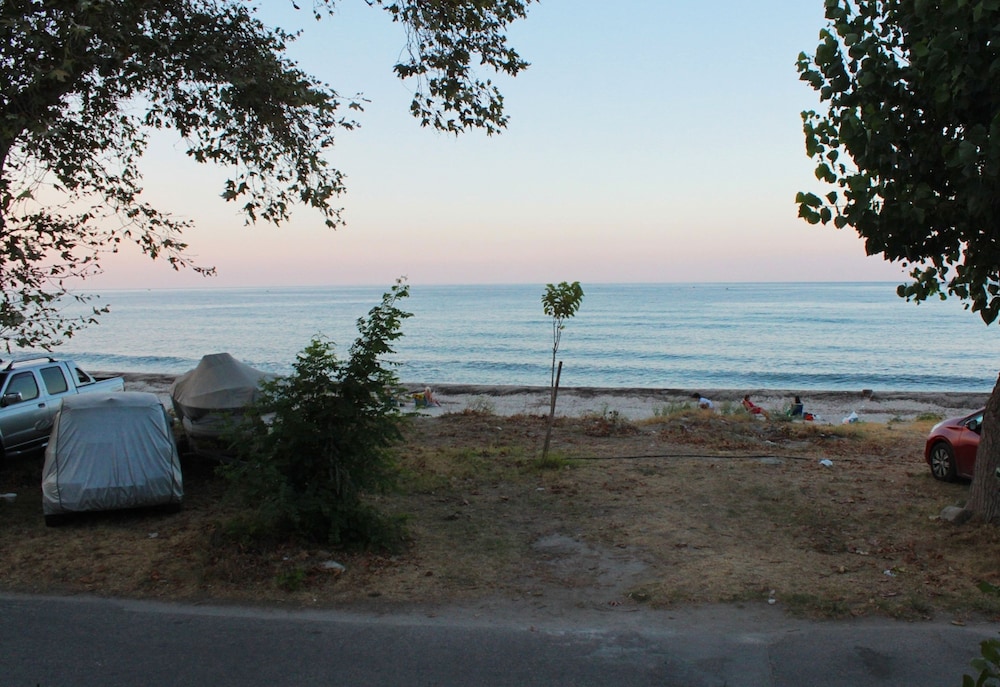 Villa Magnolia photo 3