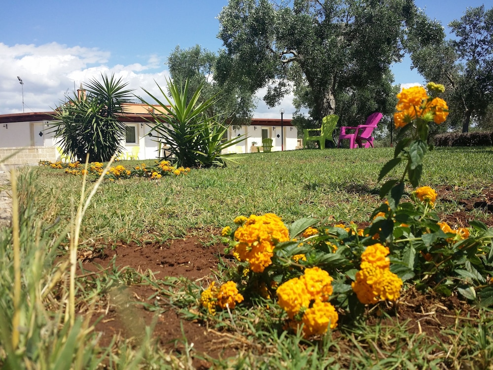 Agriturismo Terra D'Ulivi