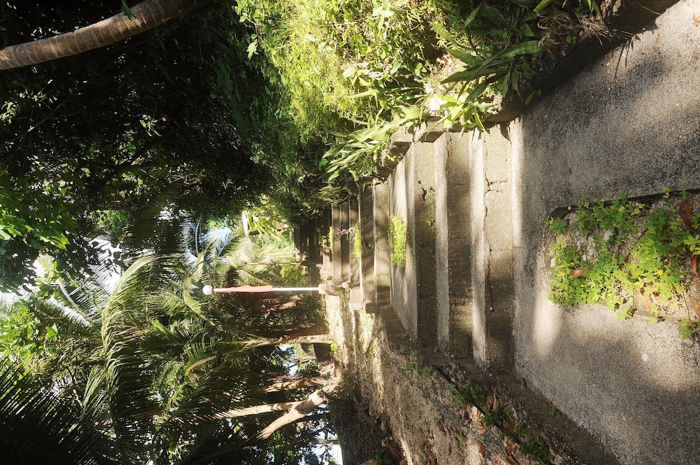 Photo 46
