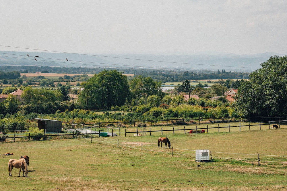 Domaine de cozance
