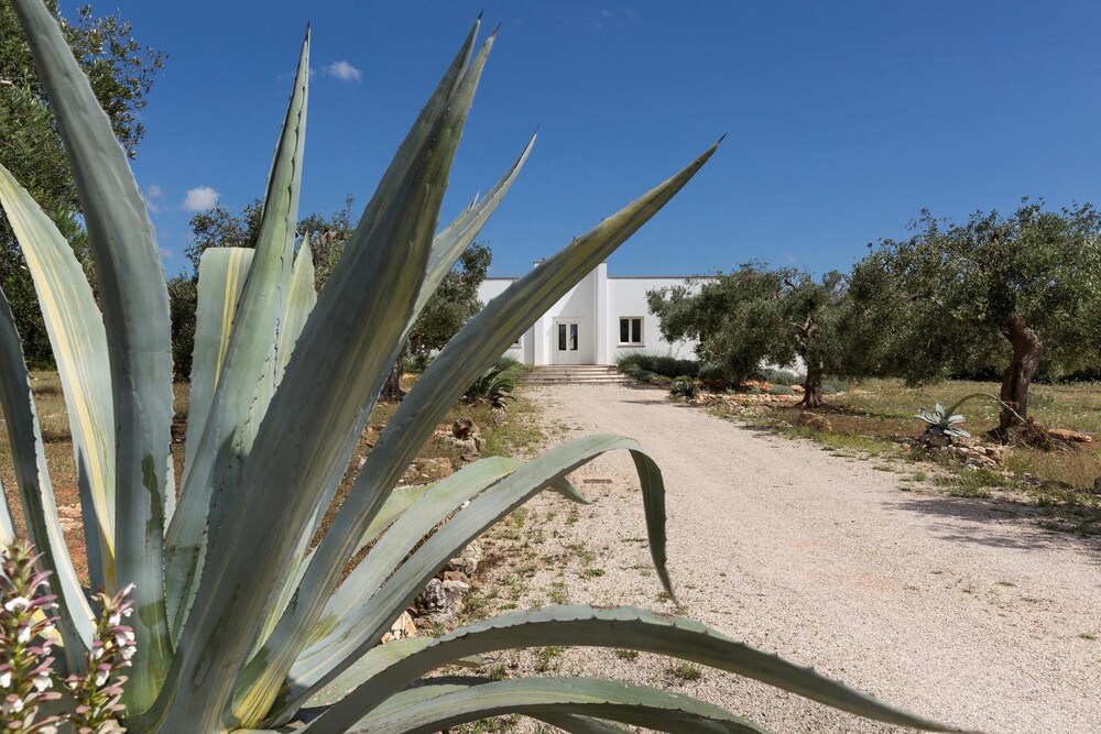 Villa Rosalorè