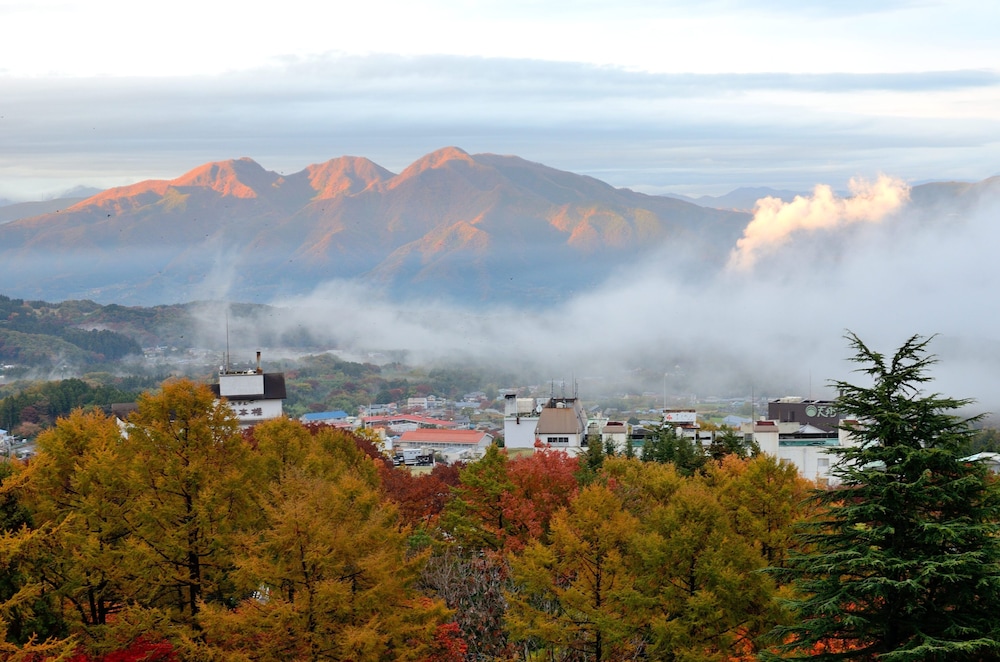 Seikanso