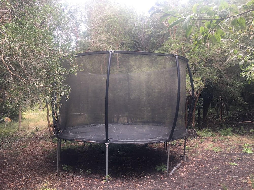 Cabañas Ensenada Bosque Nativo